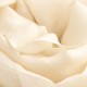 Cremeweißer Pashmina Schal aus Kaschmir und Seide